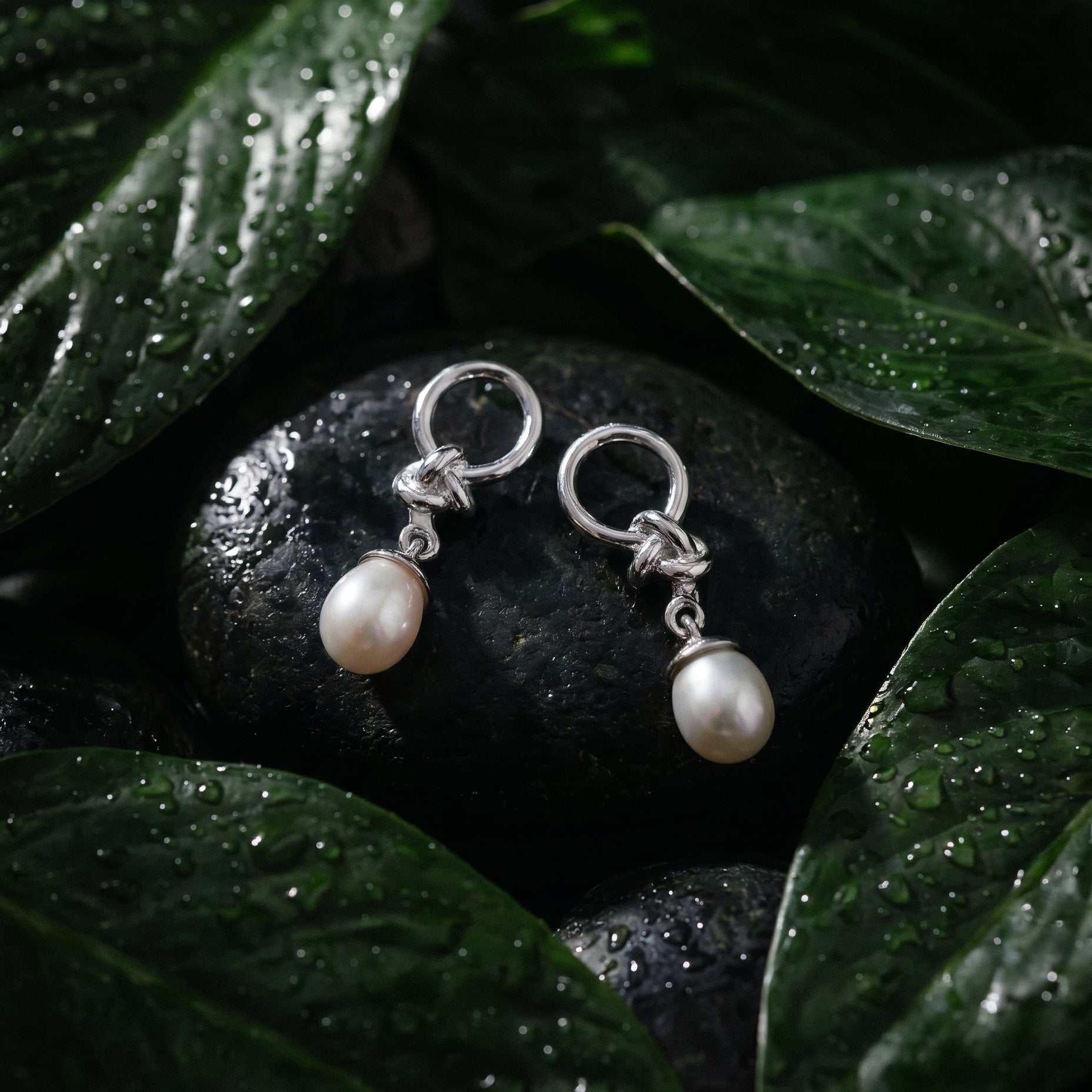 A pair of silver drop earrings with oval white freshwater pearls, displayed on a dark wet stone surrounded by glossy green leaves with water droplets.