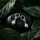 A pair of silver drop earrings with oval white freshwater pearls, displayed on a dark wet stone surrounded by glossy green leaves with water droplets.